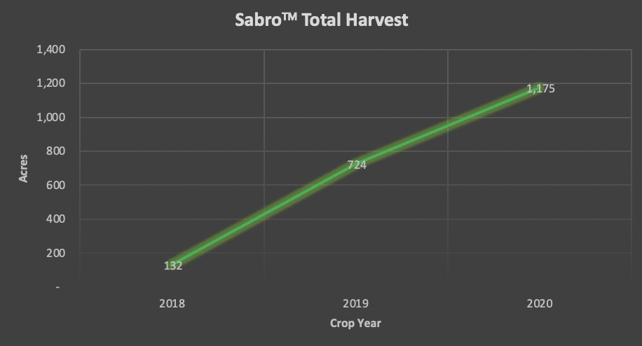 Sabro™ Brand Hops