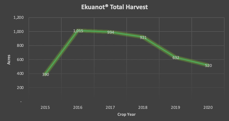 Ekuanot Hop Harvest