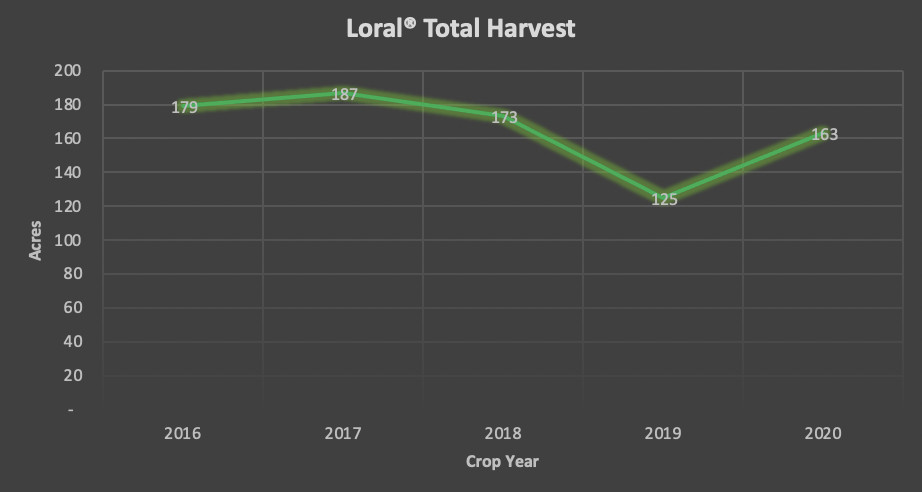 Loral Hop Harvest
